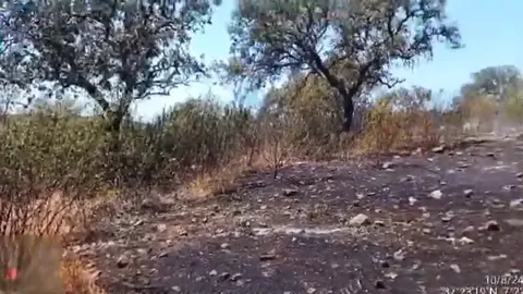 Zona afectada. Fuente: Infoca.