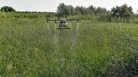 Un dron en plenas tareas de fumigaci&oacute;n. Foto: Junta de Andaluc&iacute;a.