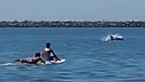 Foto de los delfines en la playa de Ciparsa, Mazag&oacute;n