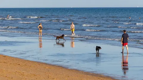 Playa canina del Espig&oacute;n. Foto: Fran &Aacute;lvarez