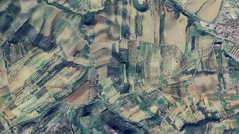 Panor&aacute;mica del t&eacute;rmino municipal de Bonares