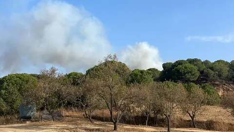 Incendio en Bonares