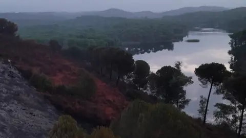 Los efectivos ha conseguido estabilizar el incendio antes de que llegara a un pantano. Fuente: Infoca.