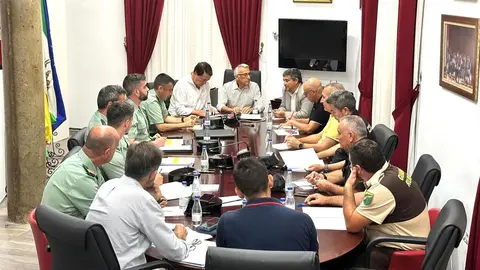 Junta Local de Seguridad