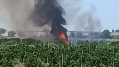 Incendio forestal en San Bartolom&eacute; de la Torre. Foto: Plan Infoca