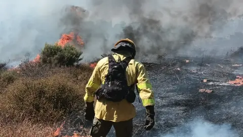 Bombero del Plan Infoca en un incendio. Fuente: Imagen de Archivo