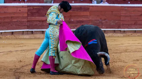 Corrida de toros. Fuente: La Merced S.L.