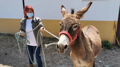 EBF Do&ntilde;ana retira un burro en Huelva