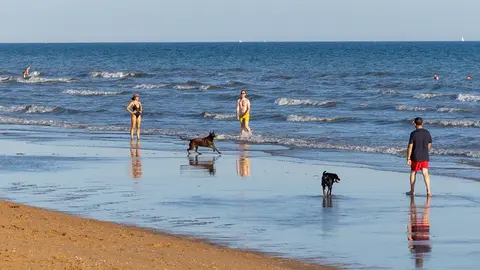Playa canina del Espig&oacute;n. Foto: Fran &Aacute;lvarez