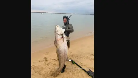Ejemplar capturado en la r&iacute;a de Huelva. Fuente: Pesca Huelva.