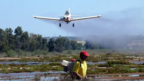 Servicio de Control de Mosquitos de la Diputaci&oacute;n de Huelva. Foto de archivo.