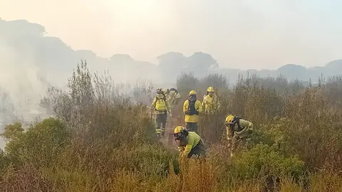 Bomberos del Infoca en plenas labores contra el incendio de Moguer