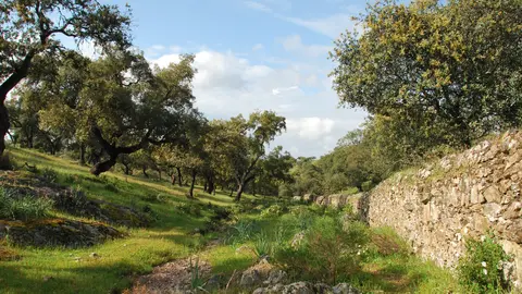 Sierra de Aracena y Picos de Aroche