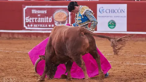 David de Miranda en Niebla
