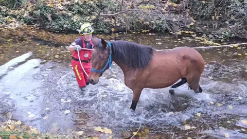 Rescate del caballo. Foto: Sab Bomberos Huelva Provincia