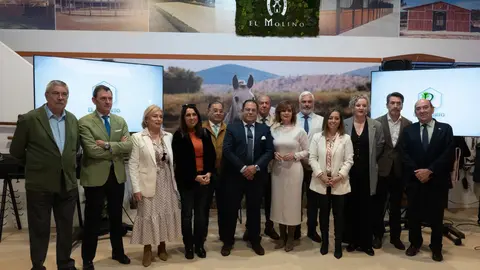 presentacion