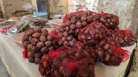 Casta&ntilde;as y nueces en Casta&ntilde;o del Robledo