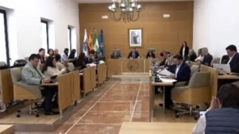 Pleno de la Diputaci&oacute;n de Huelva