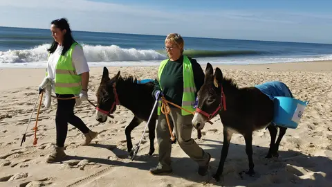 Mujeres por Do&ntilde;ana y los burritos limpiacostas