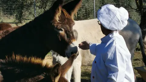 Cristina da de comer a los burros | Asociaci&oacute;n El Burrito Feliz-Mujeres por Do&ntilde;ana