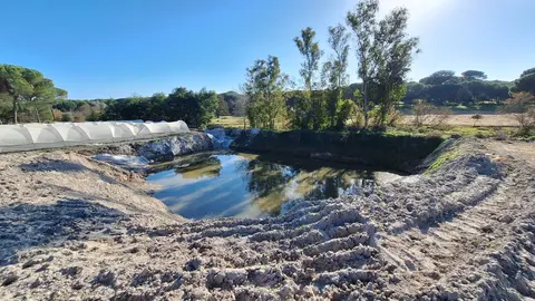 Excavaci&oacute;n en el entorno del arroyo La Ca&ntilde;ada (Almonte) | CHD