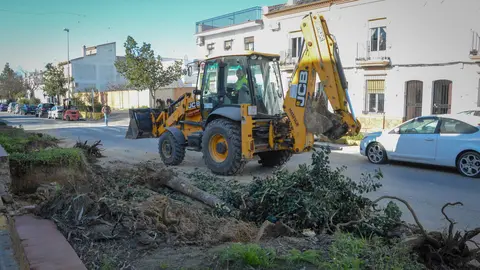 Obras de regeneraci&oacute;n del casco urbano de Almonte | Ayuntamiento de Almonte