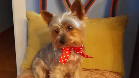 Lola lleva un mes en paradero desconocido