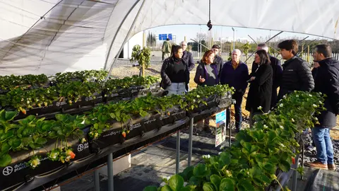 Nuevo equipamiento de riego y fertilizaci&oacute;n | UHU