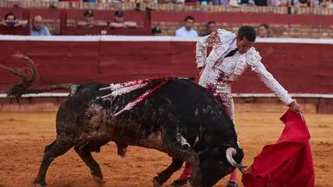 El toro "Barba Verde", de Jos&eacute; Luis Pereda, lidiado por David de Miranda en Colombinas 2024