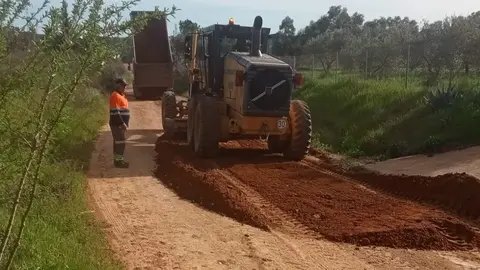 Las obras por parte del Ayuntamiento de Trigueros en uno de los caminos m&aacute;s transitado ya han comenzado
