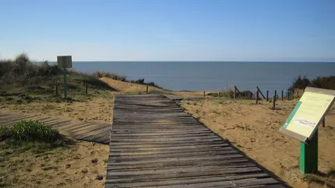 Fuente: Espacio Natural de Do&ntilde;ana