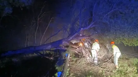 Ca&iacute;da de pino en la carretera A-492, pk 8, en Gibrale&oacute;n. Fuente: X Huelva Junta