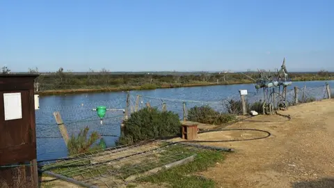 Salinas del Astur de Punta Umbr&iacute;a. Fuente: Ayuntamiento de Punta Umbr&iacute;a