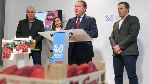 Presentaci&oacute;n de la campa&ntilde;a de fresas de Huelva | DPH