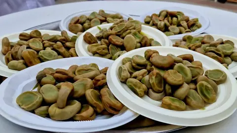 Platos de habas con poleo