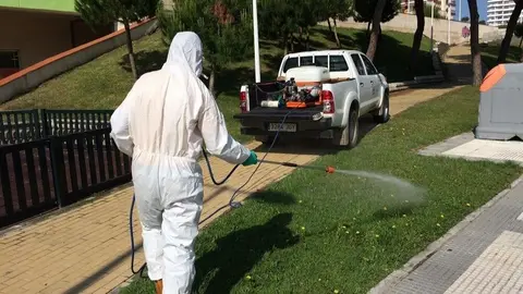 Control de mosquitos en Punta Umbr&iacute;a