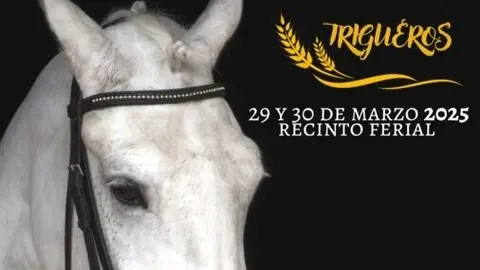 II Jornadas Ecuestres de Trigueros