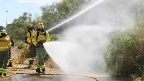 Simulacro de incendio forestal de Cartaya. Fuente: Ayto. Cartaya