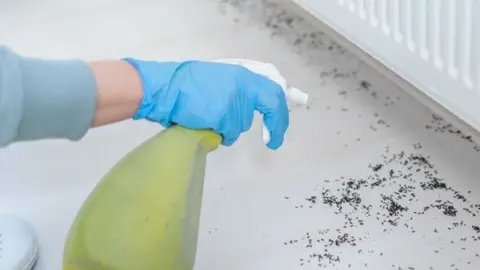 Woman Spraying Insecticide With Sprayer At Home