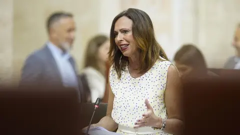 Consejera Roc&iacute;o D&iacute;az en el Parlamento