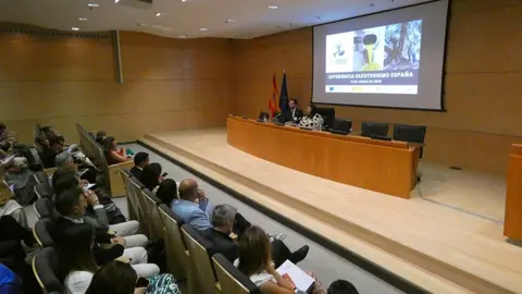 Oleoturismo Espa&ntilde;a. Fuente: Diputaci&oacute;n de Huelva