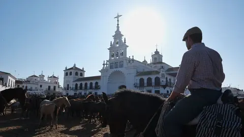 Fuente: Junta de Andaluc&iacute;a.