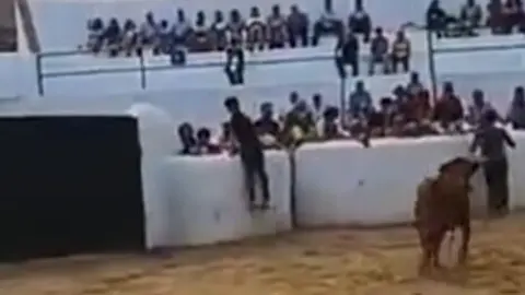 Vaquilla en el Corpus Christi de Cumbres Mayores. Fuente: Facebook de El Sur A Cuerpo Limpio