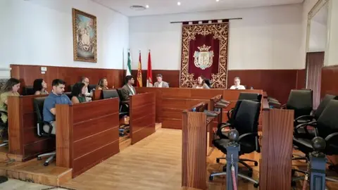Pleno La Palma