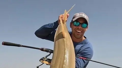 Jaimey el pez guitarra en la costa de Huelva. Fuente: Instagram Pesca Huelva
