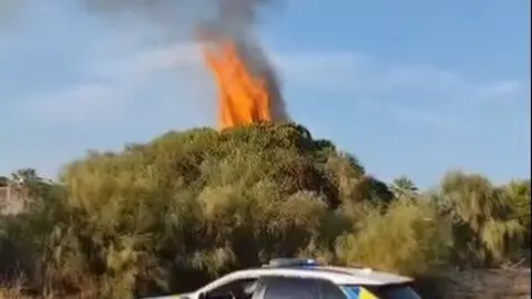 &Aacute;rbol ardiendo en Mazag&oacute;n. Fuente: Tiktok de f1delfishing