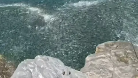 Boquerones en el Espig&oacute;n de Huelva. Fuente: Tiktok de huelvacaster