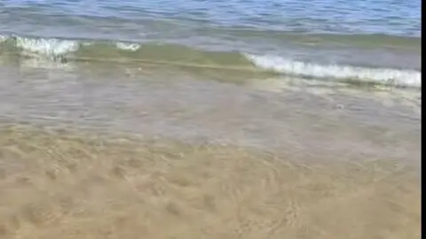 Agua de las playas onubenses. Fuente: Tiktok de Mabel Vega