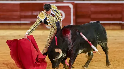 Fuente: David de Miranda.