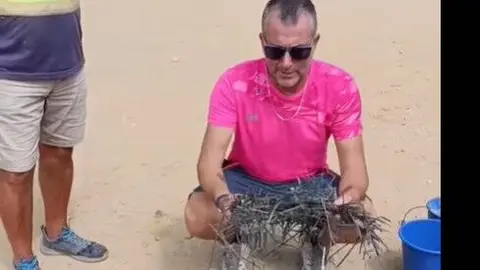 Miles de bridas en el aparcamiento del Pico del Loro en Mazag&oacute;n. Fuente: Tiktok de quique.bolsitas